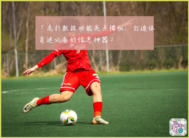 「虎扑数据功能亮点揭秘：打造体育迷必备的信息神器」