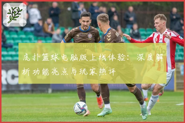 虎扑篮球电脑版上线体验：深度解析功能亮点与玩家热评