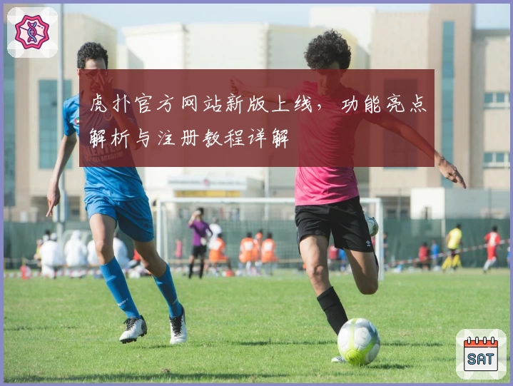 虎扑官方网站新版上线,功能亮点解析与注册教程详解